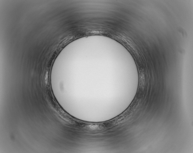 X0000111800406200908061203