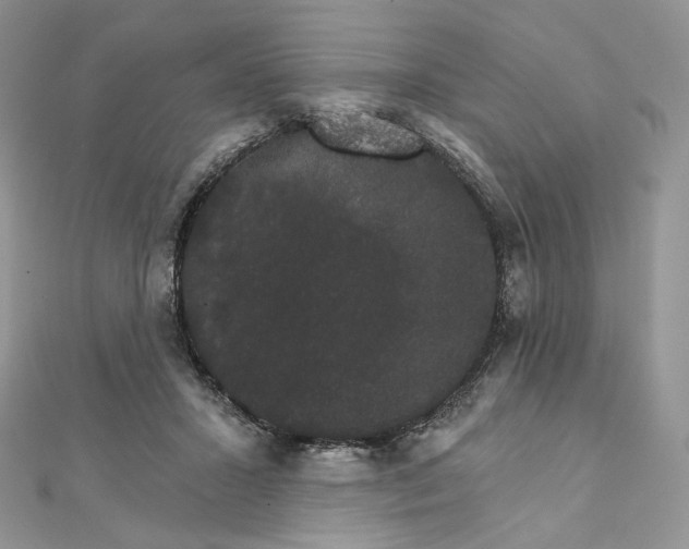 X0000111800407200908061203