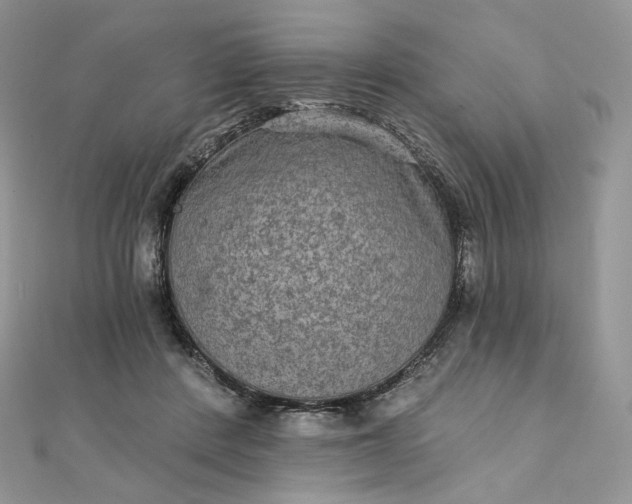 X0000111800408200908061203