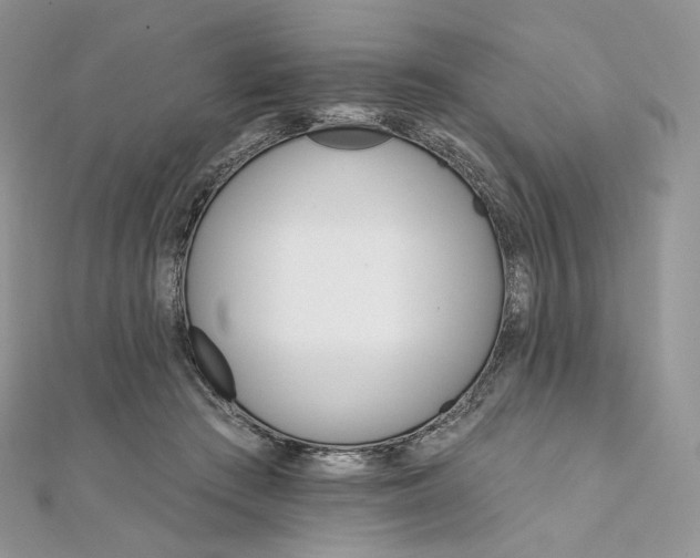 X0000111800409200908061203