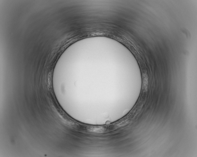 X0000111800410200908061203