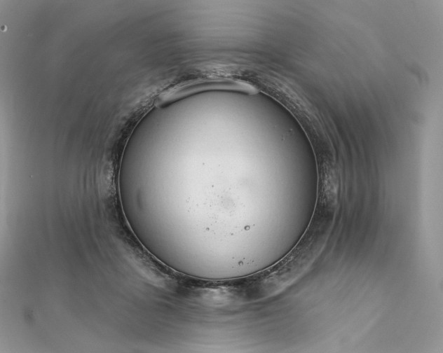X0000111800411200908061203