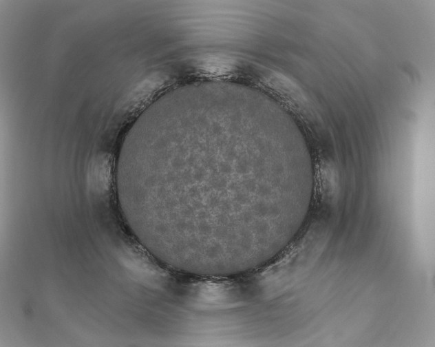 X0000111800412200908061203