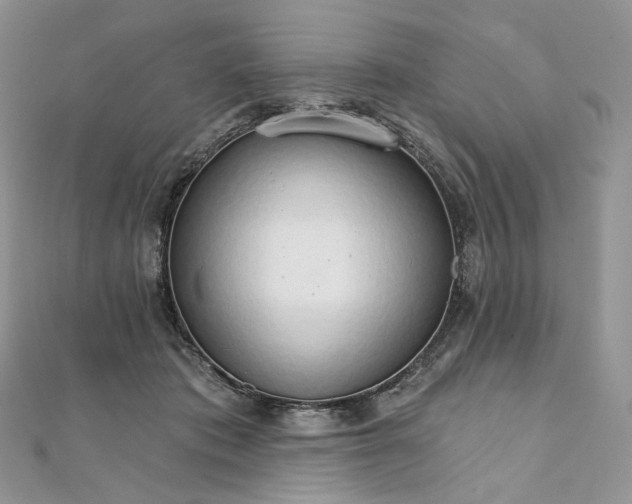 X0000111800413200908061203