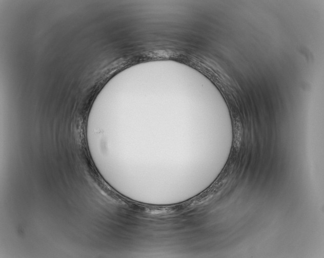 X0000111800414200908061202