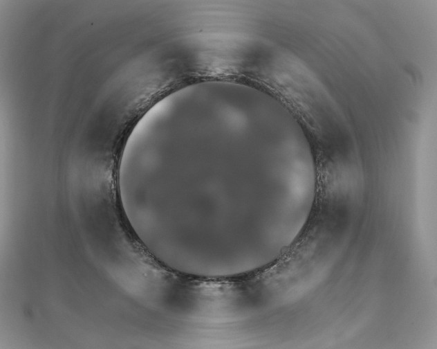 X0000111800415200908061202
