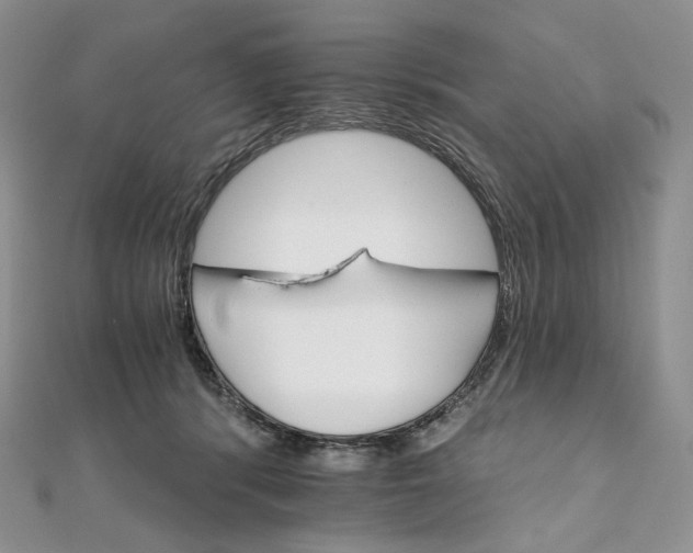 X0000111800416200908061202