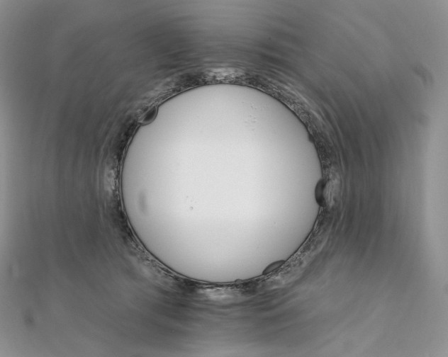 X0000111800417200908061202