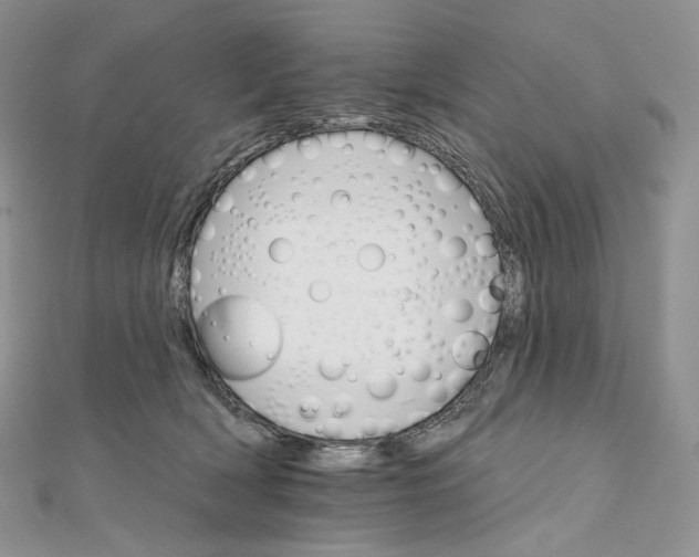 X0000111800418200908061202