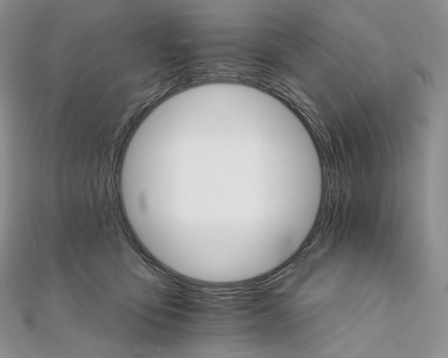 X0000111800419200908061202