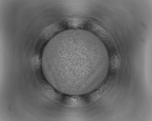 X0000111800420200908061202