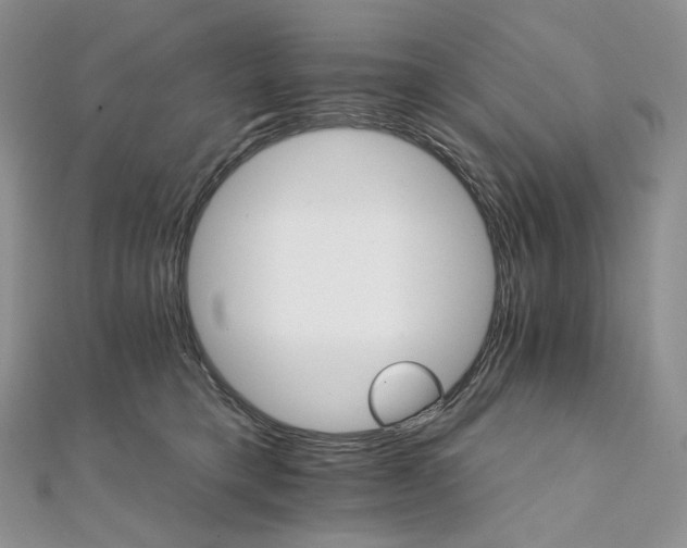 X0000111800421200908061202