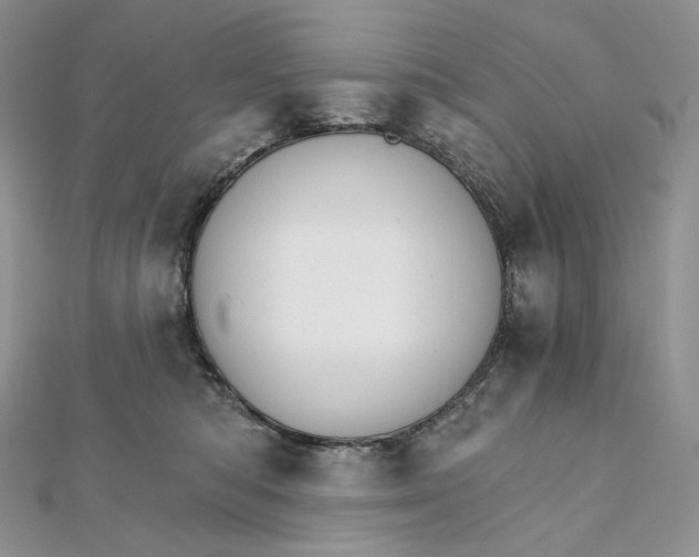 X0000111800422200908061202