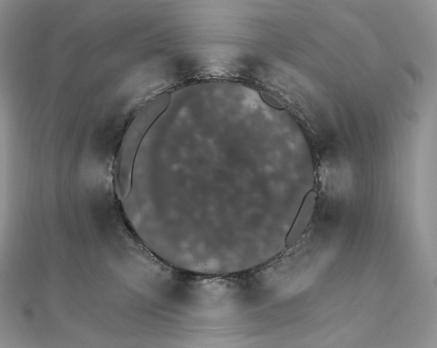 X0000111800423200908061202
