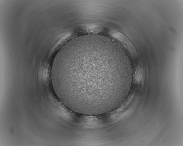 X0000111800424200908061202