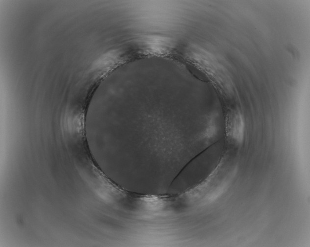 X0000111800425200908061202
