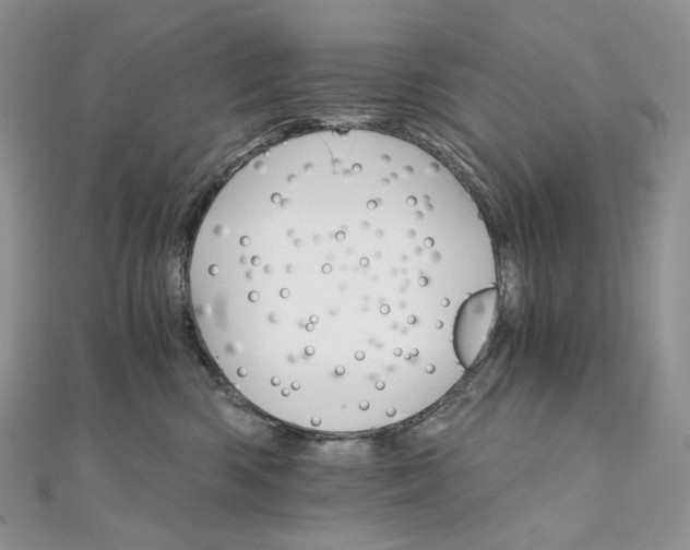 X0000111800426200908061202