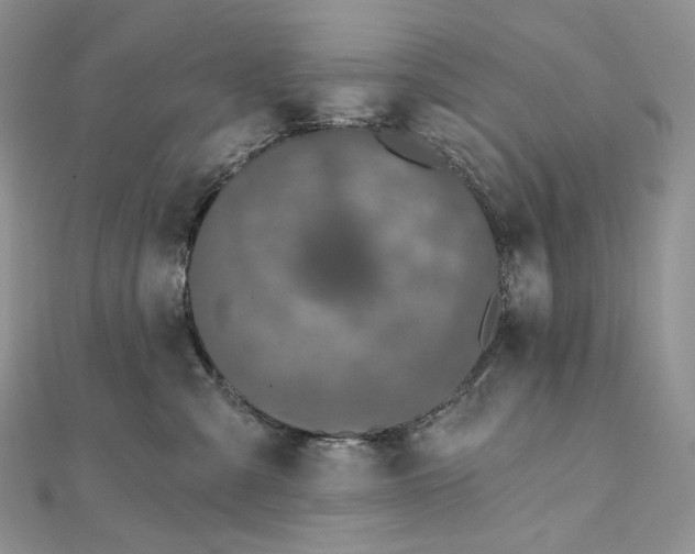 X0000111800427200908061202