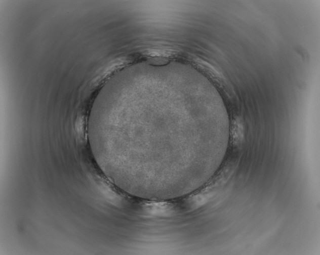 X0000111800428200908061202
