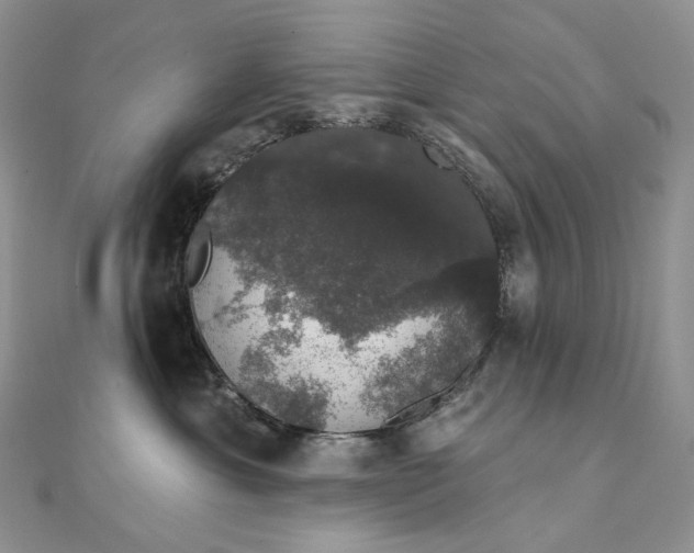 X0000111800429200908061202