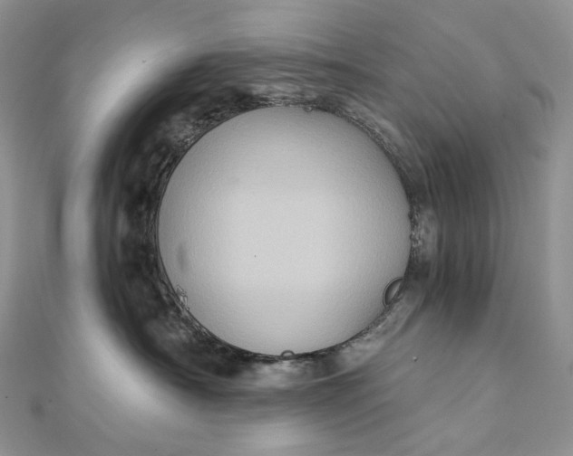 X0000111800430200908061202