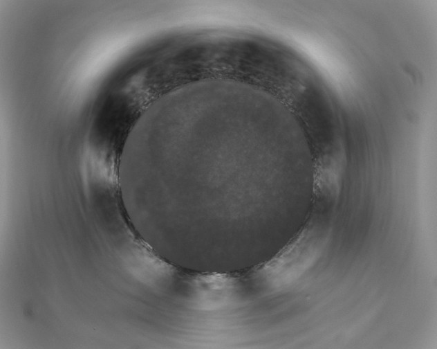 X0000111800431200908061202