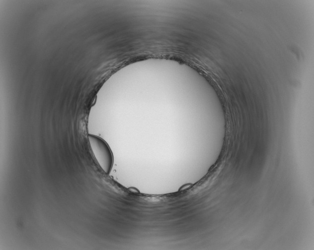 X0000111800432200908061202