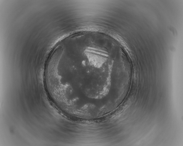 X0000111800434200908061202