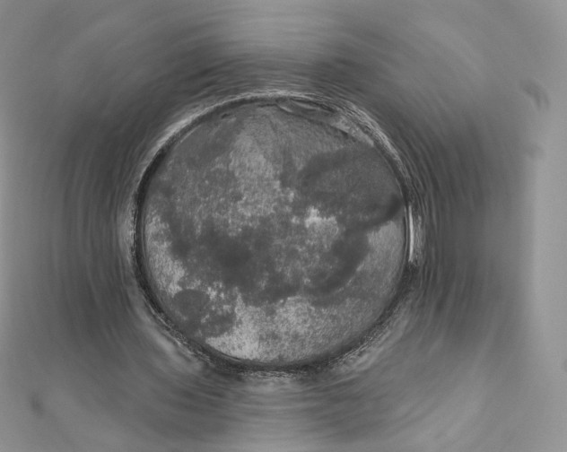 X0000111800435200908061202