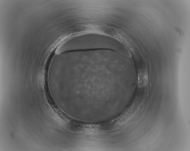 X0000111800436200908061202