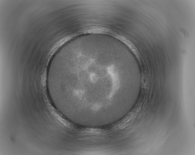 X0000111800437200908061202