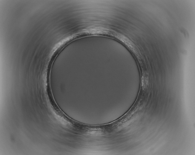 X0000111800438200908061202