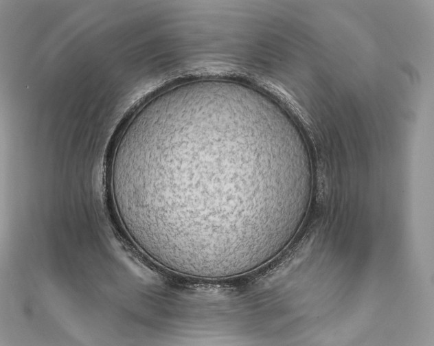 X0000111800439200908061202