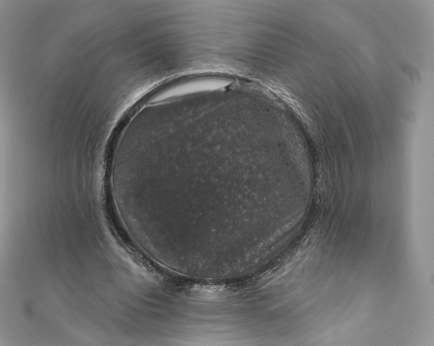 X0000111800440200908061202