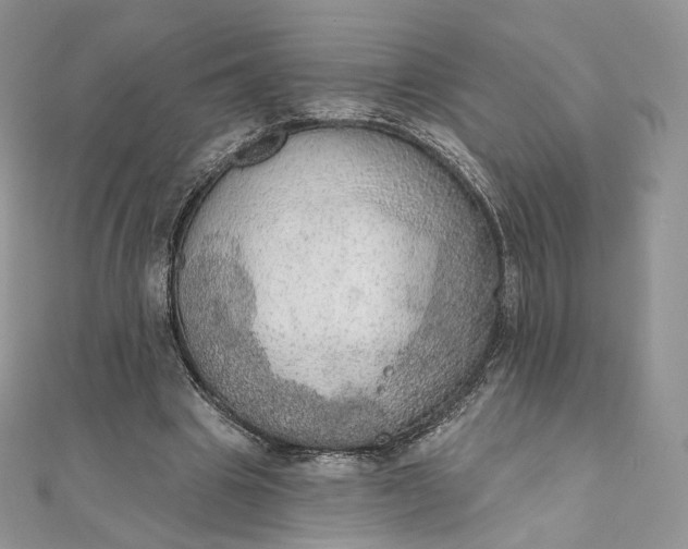 X0000111800441200908061202