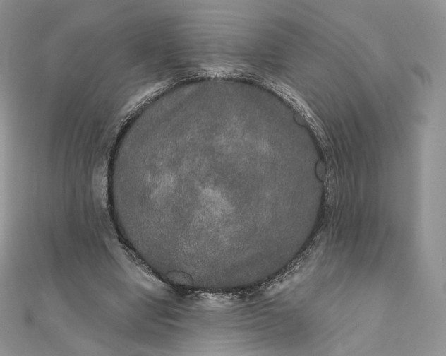 X0000111800442200908061202