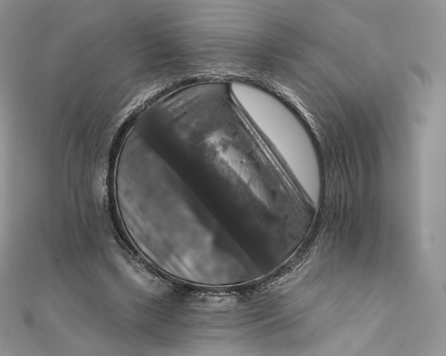 X0000111800443200908061202