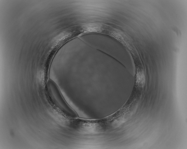 X0000111800444200908061202