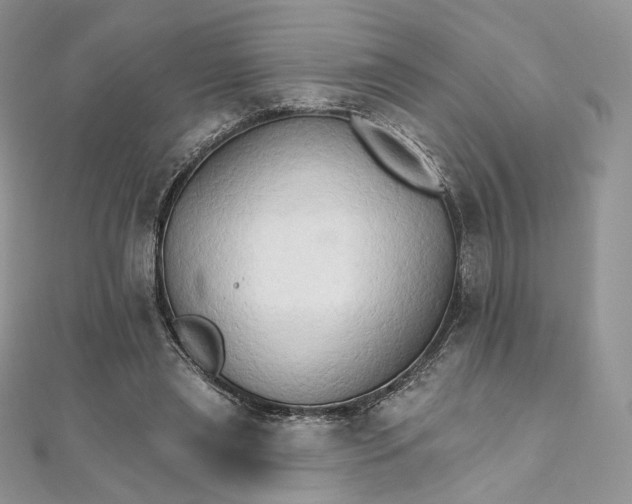 X0000111800445200908061202