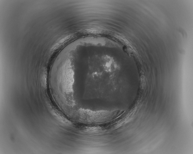 X0000111800446200908061202