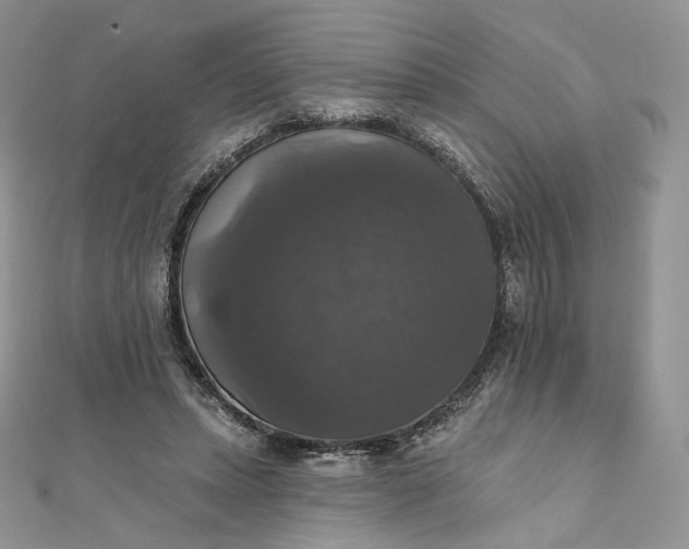 X0000111800447200908061202