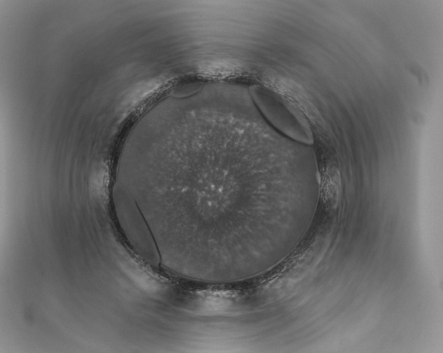 X0000111800448200908061202