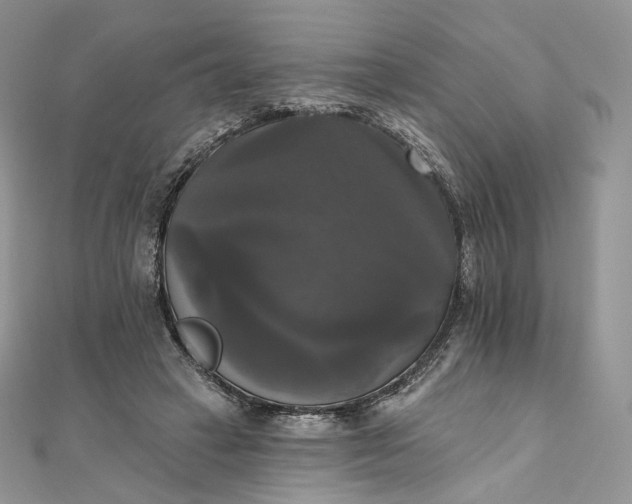 X0000111800449200908061202