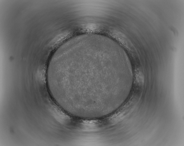 X0000111800450200908061202