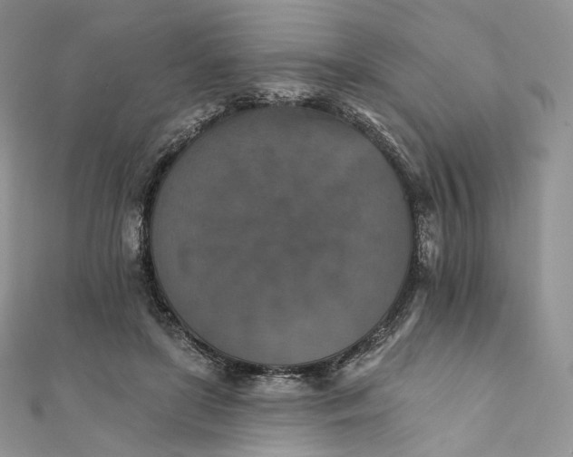 X0000111800451200908061202