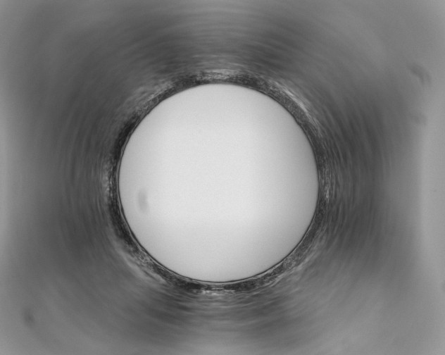 X0000111800455200908061202