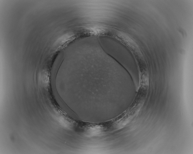 X0000111800456200908061202