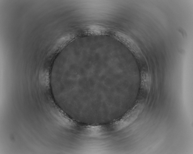 X0000111800457200908061202