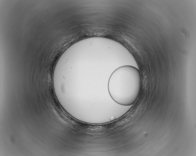 X0000111800459200908061202