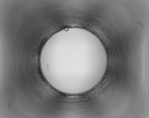 X0000111800461200908061202